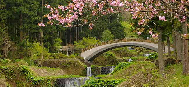 さくら橋